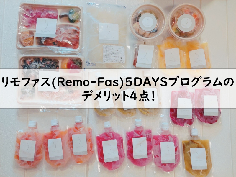 リモファス(Remo-Fas)5DAYSプログラムで届いた全ての商品の写真2