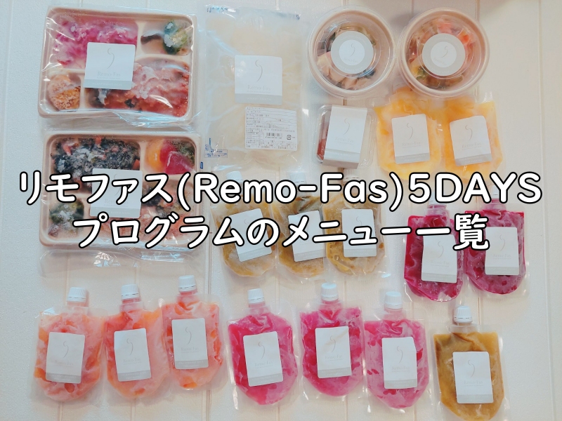 リモファス(Remo-Fas)5DAYSプログラムの全食の写真5