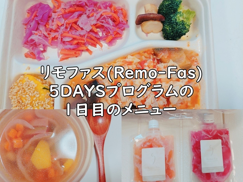 リモファス(Remo-Fas)5DAYSプログラムの1日目のメニューの写真