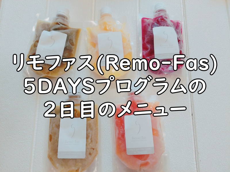 リモファス(Remo-Fas)5DAYSプログラムの2日目のメニューの写真