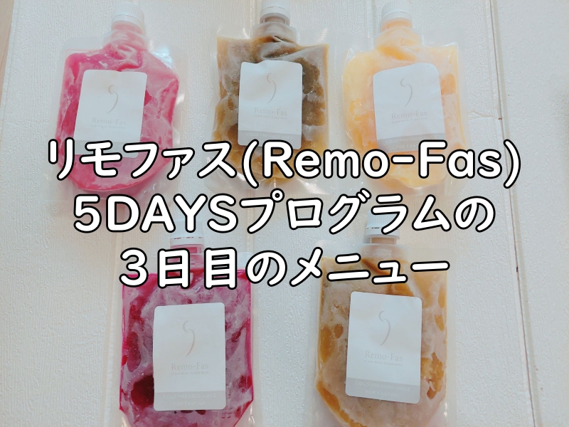 リモファス(Remo-Fas)5DAYSプログラムの3日目のメニューの写真